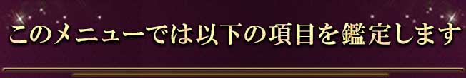 このメニューでは以下の項目を鑑定します このメニューでは以下の項目を鑑定します
